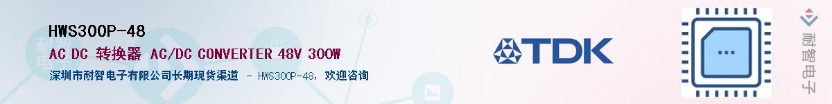 HWS300P-48������-�������