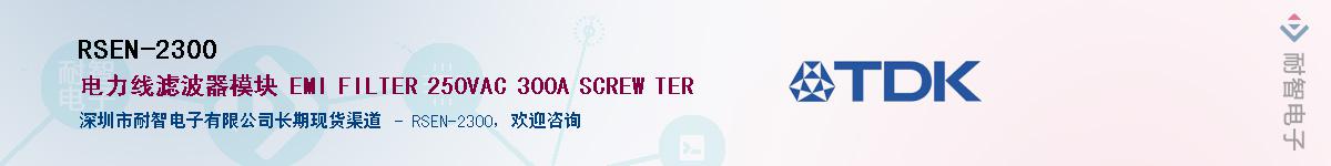 RSEN-2300������-�������