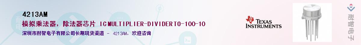 4213AM������-�������