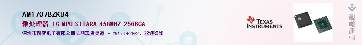 AM1707BZKB4������-�������