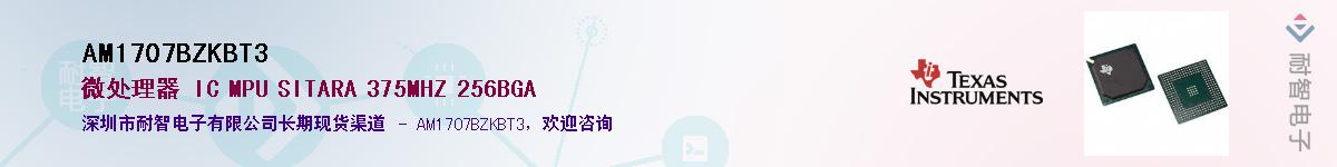 AM1707BZKBT3������-�������