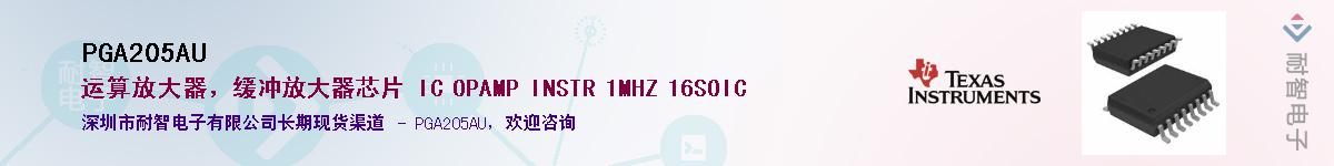 PGA205AU������-�������