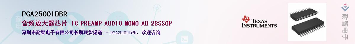 PGA2500IDBR������-�������