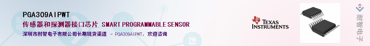 PGA309AIPWT������-�������