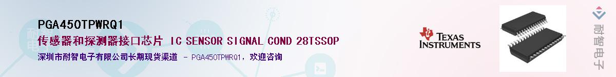 PGA450TPWRQ1������-�������