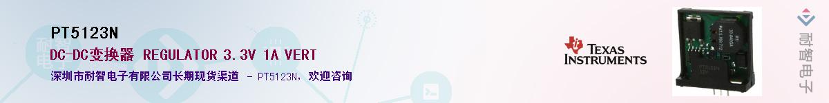 PT5123N������-�������