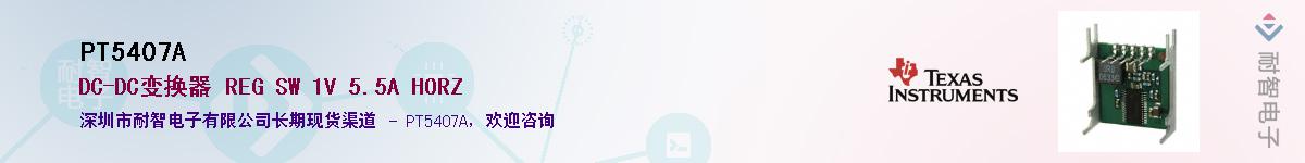 PT5407A������-�������