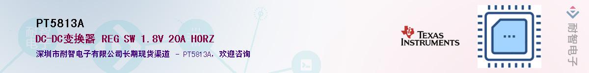 PT5813A������-�������