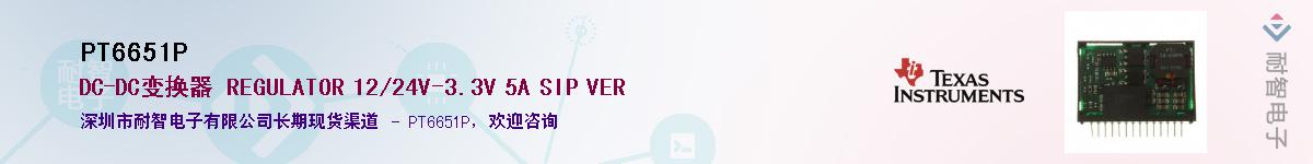 PT6651P������-�������