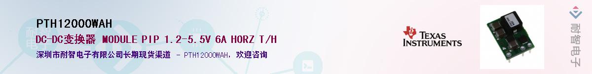 PTH12000WAH������-�������