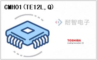 CMH01(TE12L,Q)