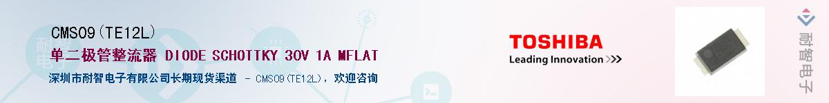 CMS09(TE12L)������-�������