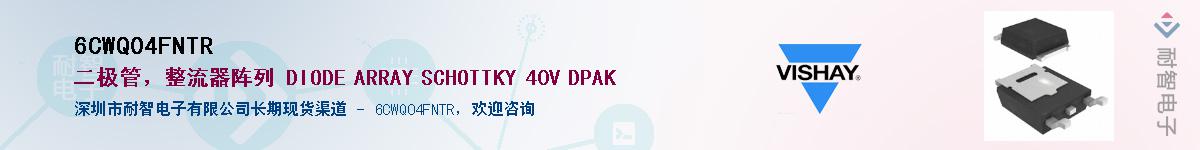 6CWQ04FNTR������-�������