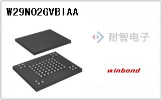 W29N02GVBIAA
