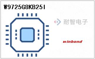 W9725G8KB25I
