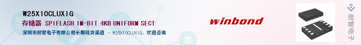W25X10CLUXIG������-�������