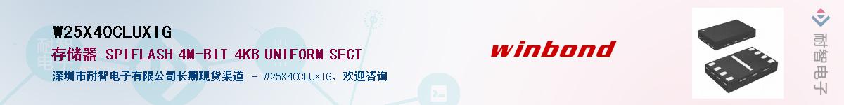 W25X40CLUXIG������-�������