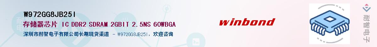 W972GG8JB25I������-�������