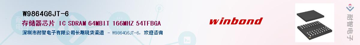 W9864G6JT-6������-�������